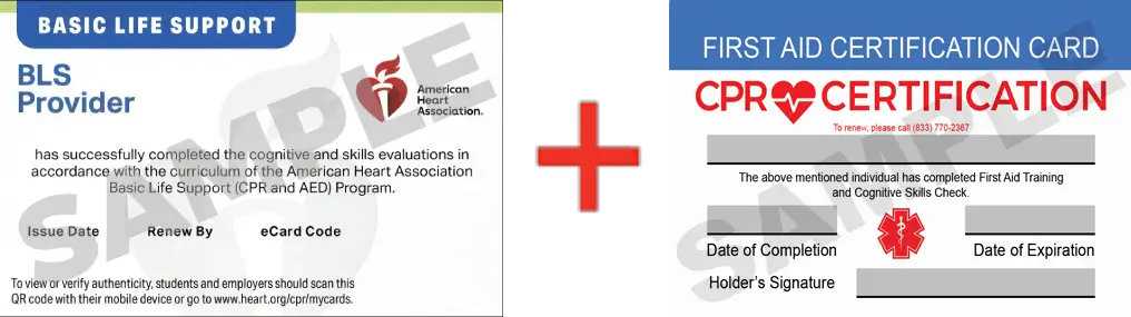 Sample American Heart Association AHA BLS CPR Card Certificaiton and First Aid Certification Card from CPR Certification Orlando