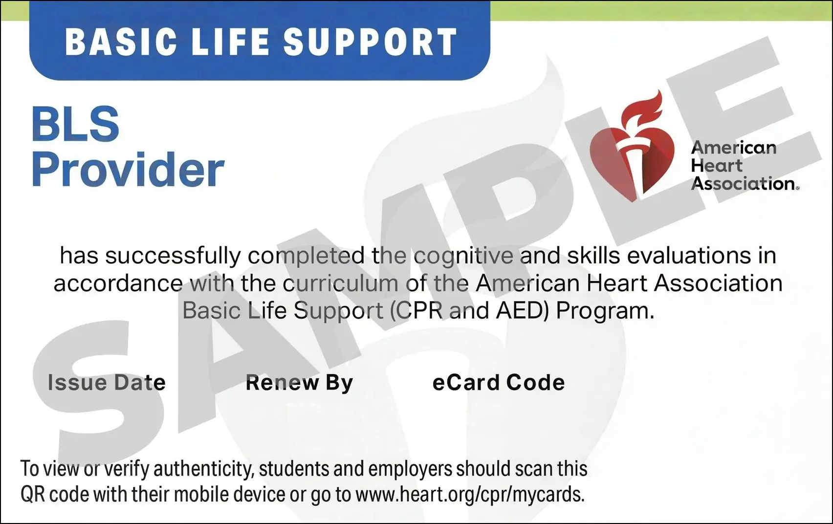 Sample American Heart Association AHA BLS CPR Card Certification from CPR Certification Orlando
